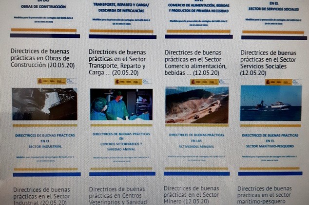 directrices sectores 1